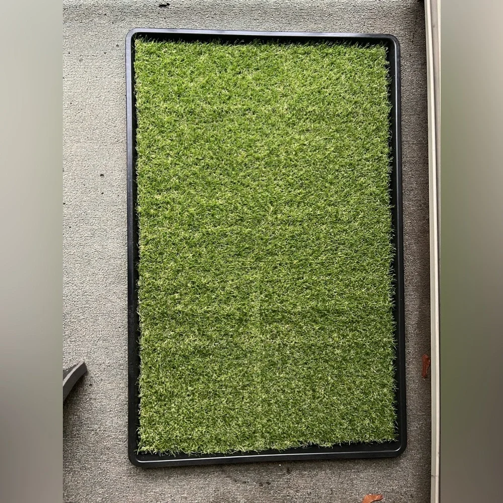 Loobani Large indoor/porch grass potty mat